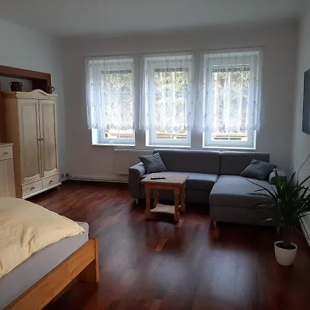 Apartman Vila Vitkovice * Vítkovice