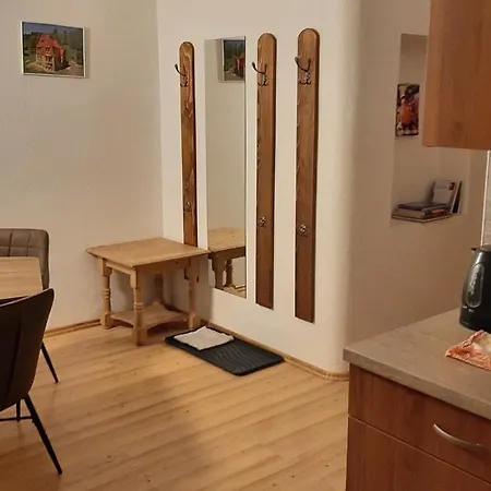 Apartmán Apartmán vila Vítkovice