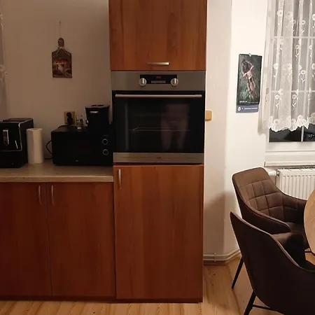 Apartmán Apartmán vila Vítkovice Vítkovice