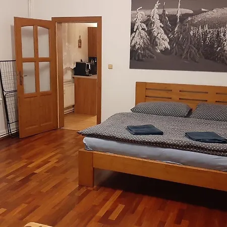 Apartmán Apartmán vila Vítkovice